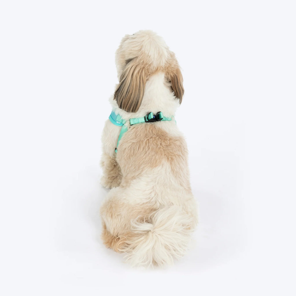 HUFT Free Flow Step-In Harness and Leash Set For Dog - Mint Sky