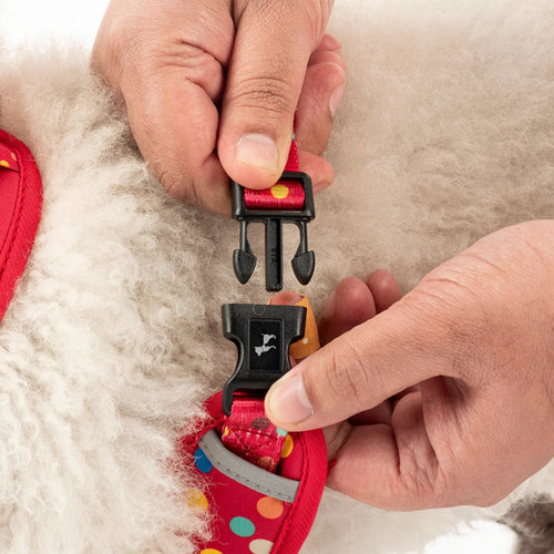 HUFT Polka Play Adjustable Harness For Dog - Red