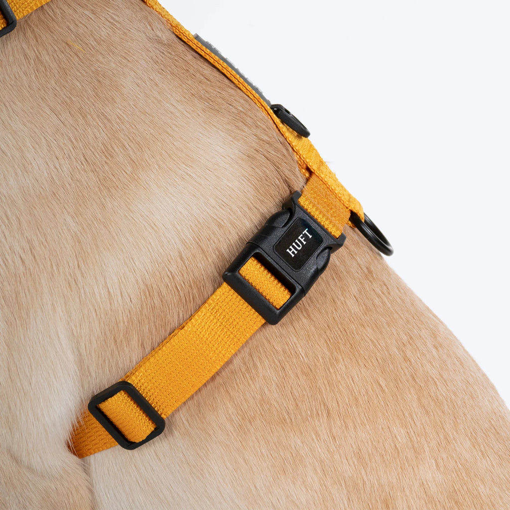 HUFT Basics Dog H Harness - Yellow & Blue
