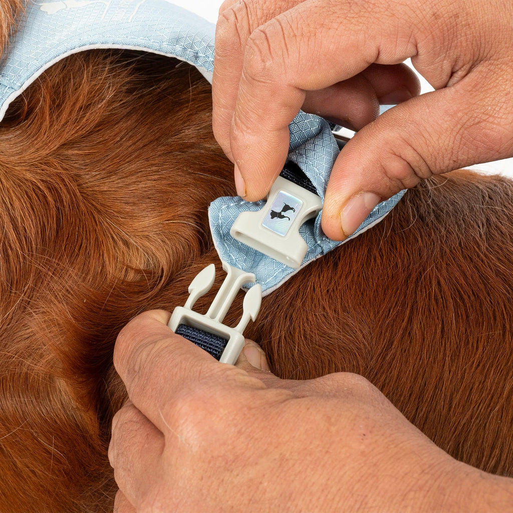 HUFT Walkmate Harness For Dog - Slate Blue