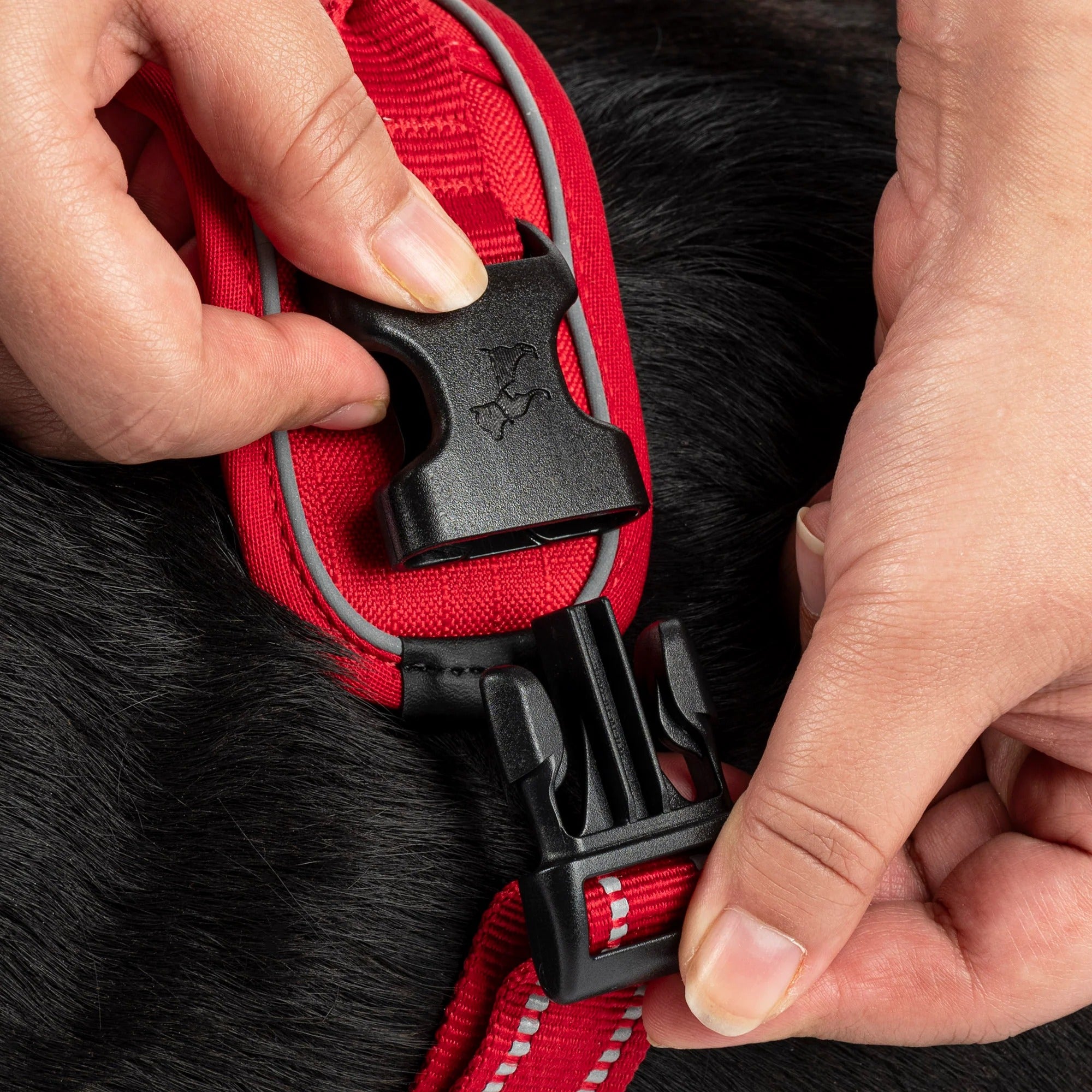 HUFT Xplorers Harness For Dog - Red