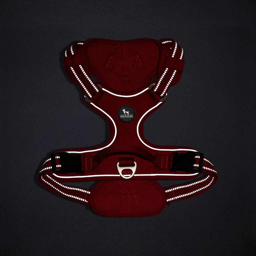 HUFT Xplorers Harness For Dog - Red