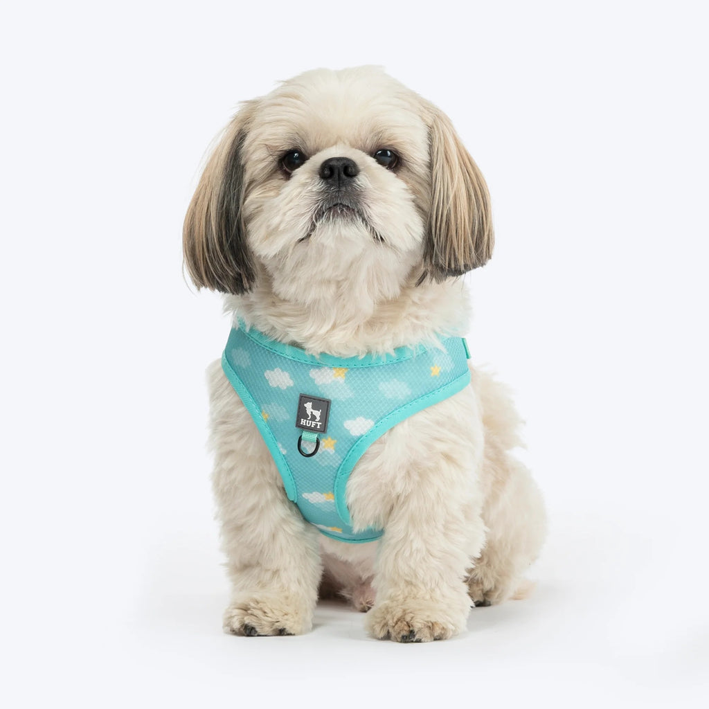 HUFT Free Flow Step-In Harness and Leash Set For Dog - Mint Sky
