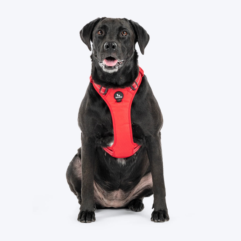HUFT Xplorers Harness For Dog - Red