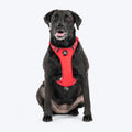 HUFT Xplorers Harness For Dog - Red