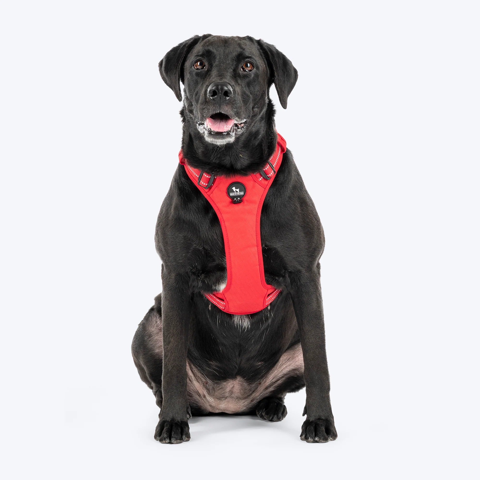 HUFT Xplorers Harness For Dog - Red